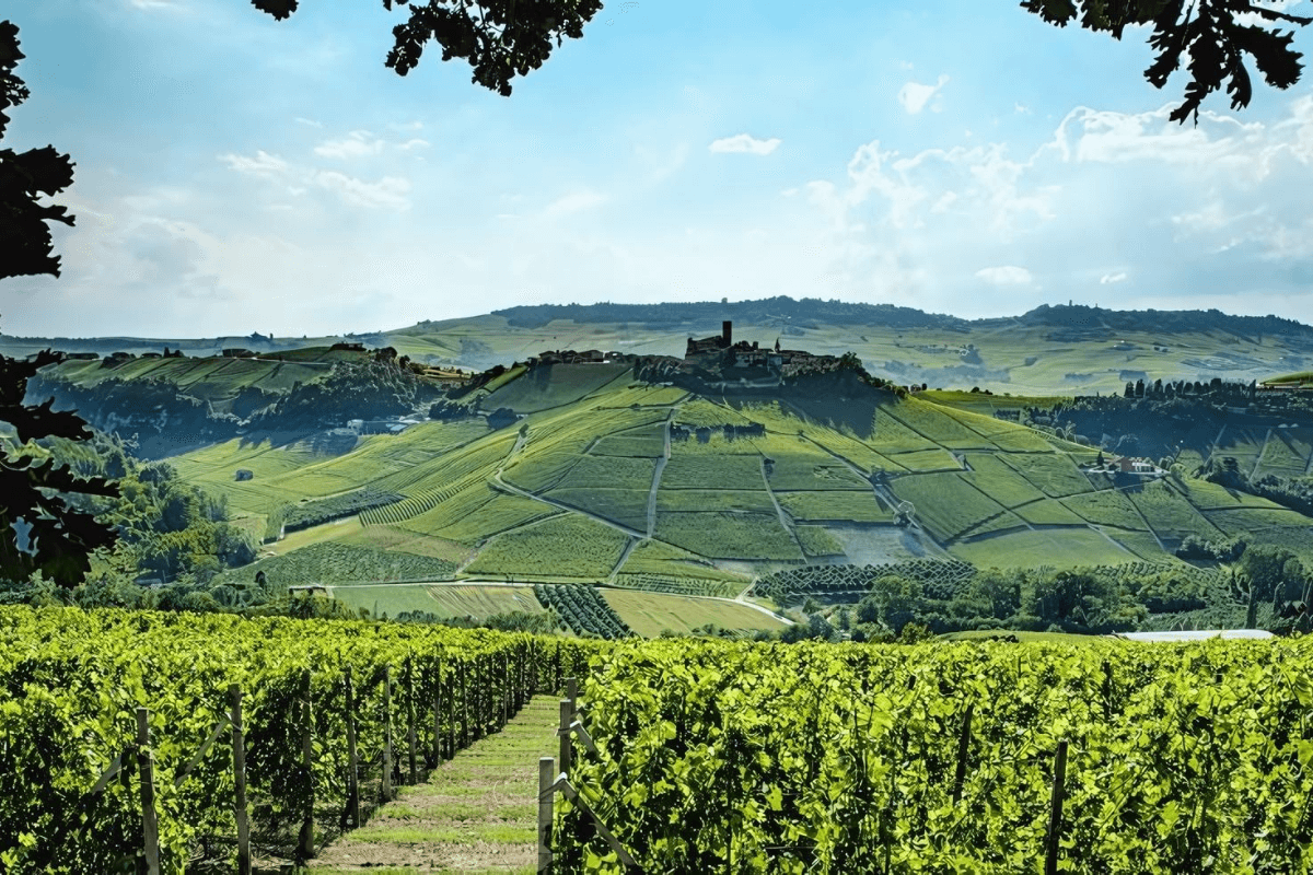 The Langhe